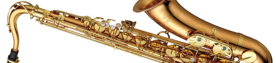 Professional WO series tenor saxophone