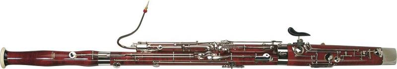 Student bassoon