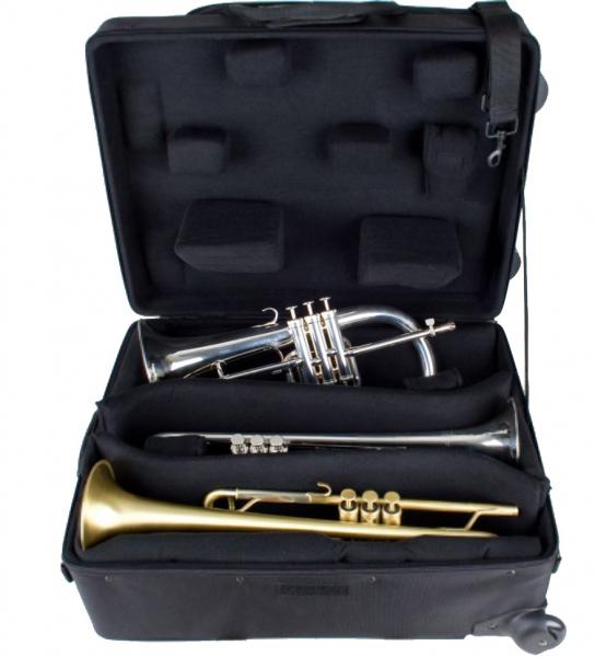 Combi IPAC multi trumpet case