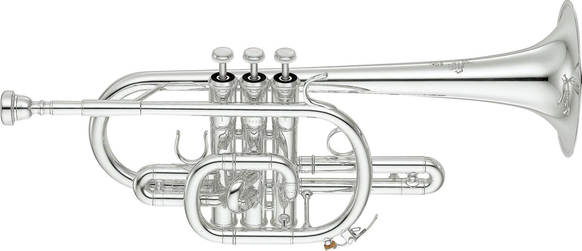C cornet Custom series