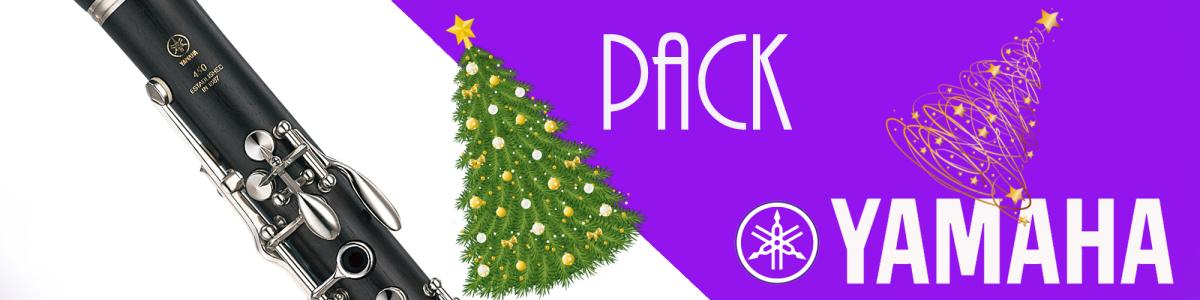 Yamaha YCL450S and YCL255Sclarinet pack